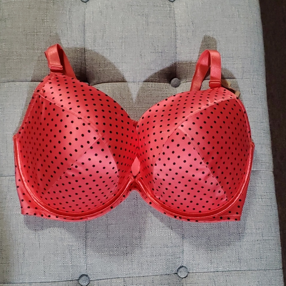 NWT CACIQUE BRA